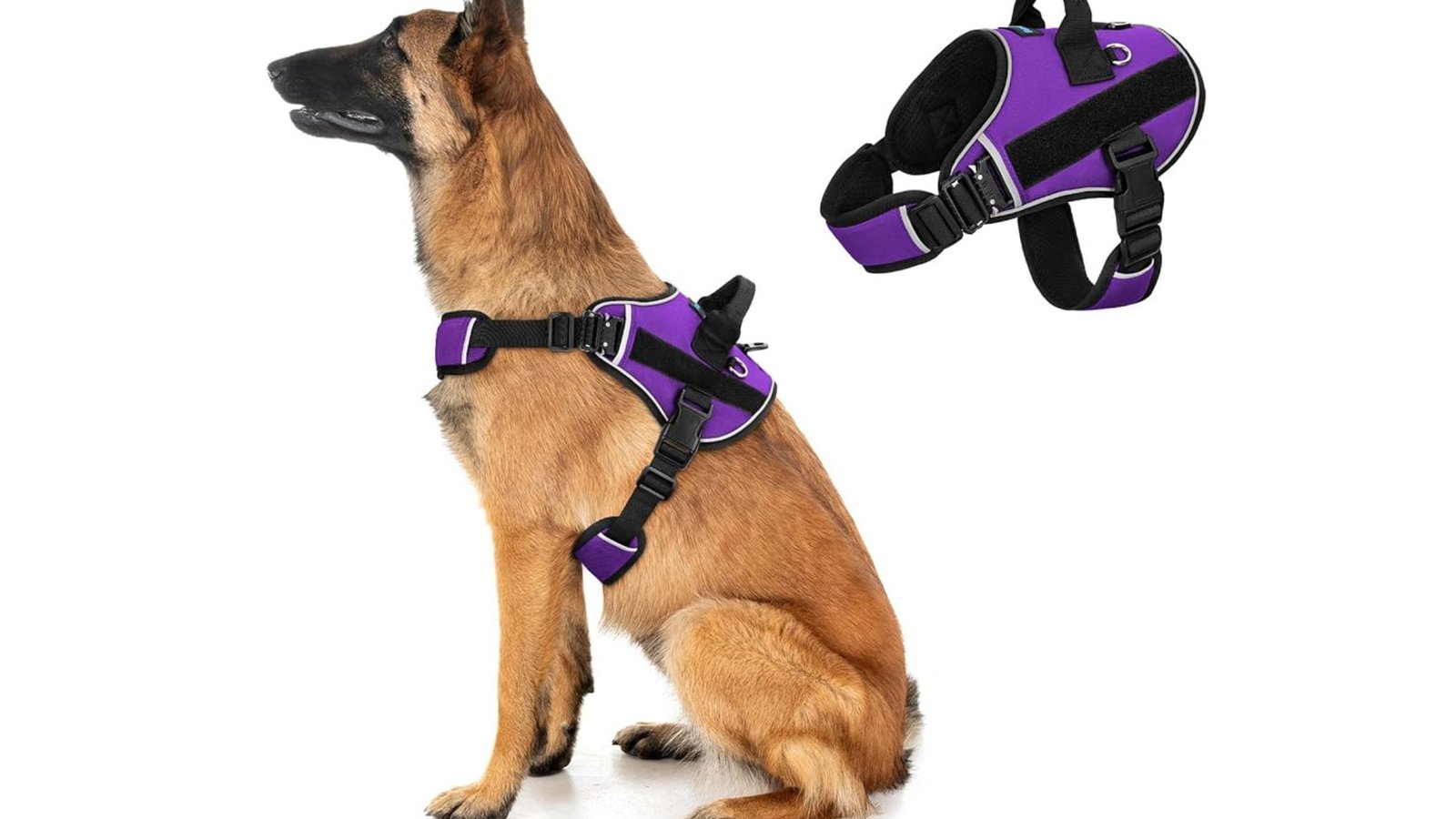 Can an Easy Walk Harness Finally Stop Your Dog’s Pulling?